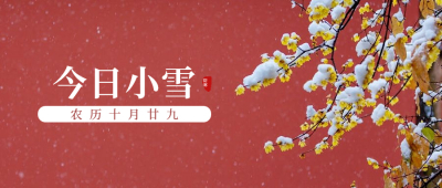 小雪丨小雪庭前落，归家暖人心